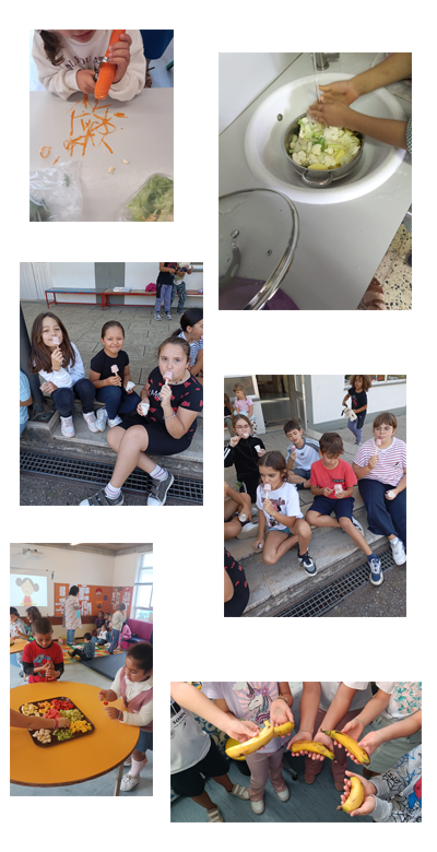 Pequenos Chefs em Ação