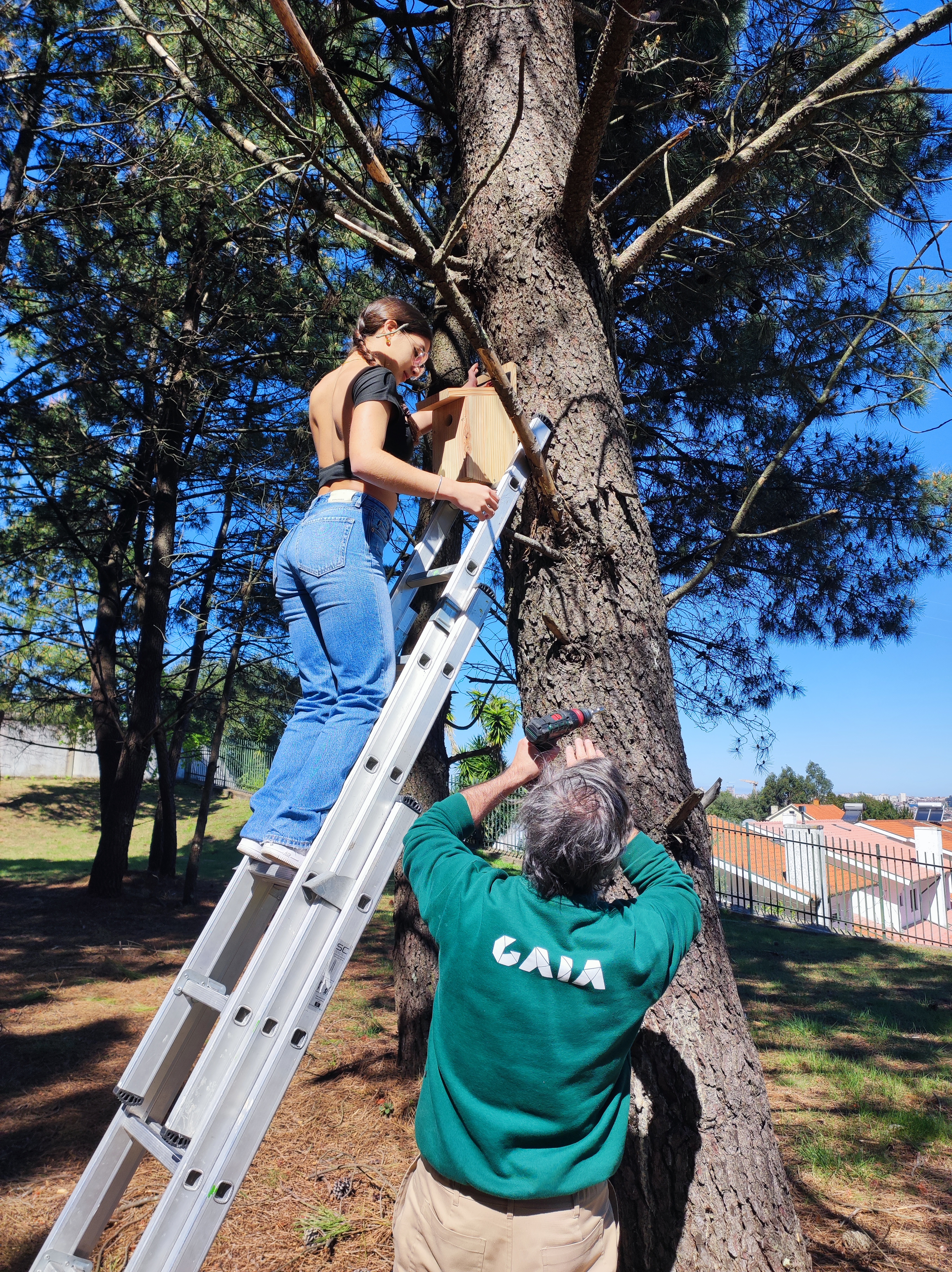 Início da primavera  - Construção de caixas de ninho 
