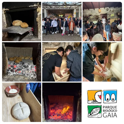 “Dos cereais ao pão” - Técnico de Cozinha e Pastelaria no Parque Biológico de Gaia