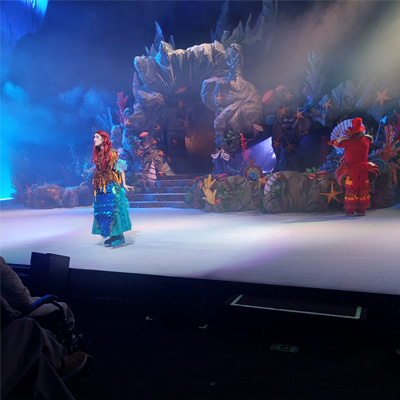 A Pequena Sereia no gelo - Fernando Guedes